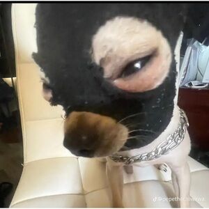 Meet your Posher, Novaj